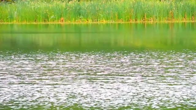 ПРИРОДА ЭТО ОТДЫХ И НАСЛАЖДЕНИЕ.ОЗЕРО. смотреть онлайн