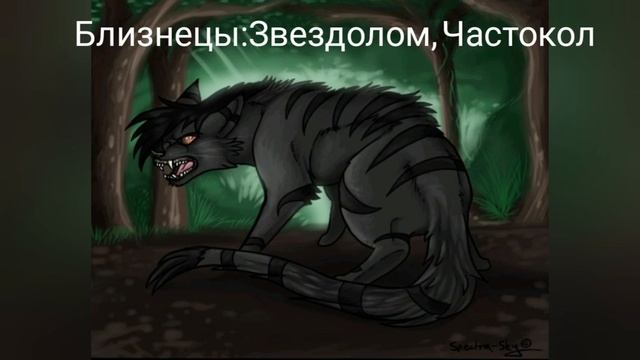 Коты-Воители по Знаку-Зодиака #1 | Остролистая КВ смотреть онлайн