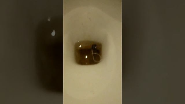 ЭКСПЕРИМЕНТ!!ЧТО БУДЕТ ЕСЛИ ЗАВАРИВАТЬ ЧАЙ В УНИТАЗЕ!!!ЧТО ТО ПОШЛО НЕ ТАК... смотреть онлайн