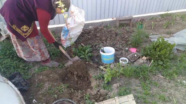 купила тую-книжку и столовку смотреть онлайн