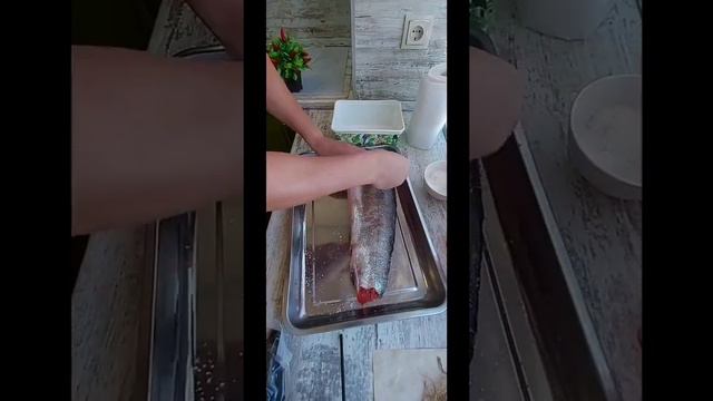 Мой день с утра до вечера смотреть онлайн