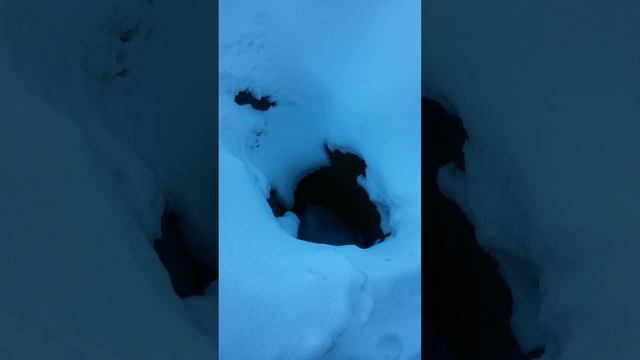 Дача зимой - колья помидоров, яма из которой бралась глина для печек - всё засыпано снегом смотреть онлайн