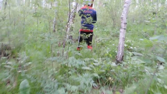 Нашел чудо палку Лесоворуйка, лесные просторы, мусор в лесу, жарки, в поисках грибов смотреть онлайн