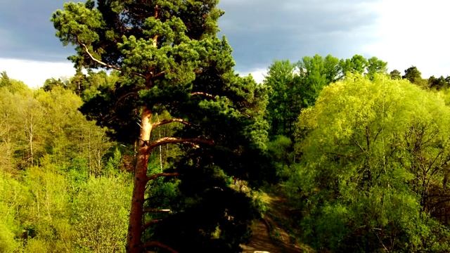 Тестовое видео Hubsan ZINO 2 Квадрокоптер с камерой 4K 60fps (Russia Moscow 15.05.22) смотреть онлайн