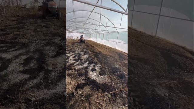 10 февраля 2024 г. смотреть онлайн