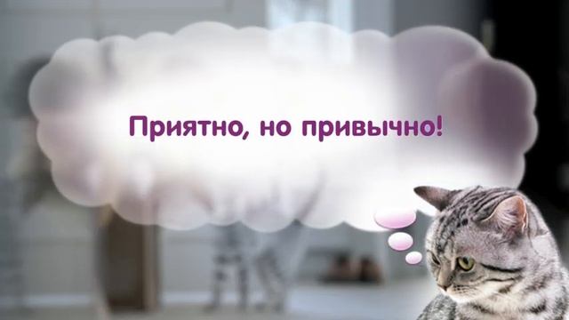Whiskas® - Насколько Вы предсказуемы?