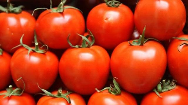 Купить семена томата дачник+ смотреть онлайн