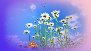 Футаж. Летний пейзаж 1