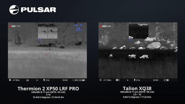 Pulsar Talion XQ38 Vs Pulsar Thermion 2 XP50 Pro LRF