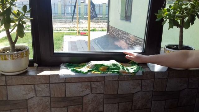 Проращивание картофеля перед посадкой за 3 дня - самый быстрый метод смотреть онлайн