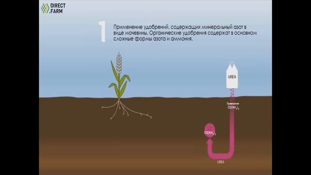 Круговорот азота на примере аммиачной селитры и карбамида смотреть онлайн