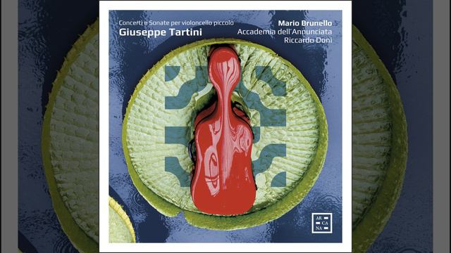 Concerto for Cello, Strings and Basso Continuo in A Major, GT 1.A28: II: Larghetto смотреть онлайн