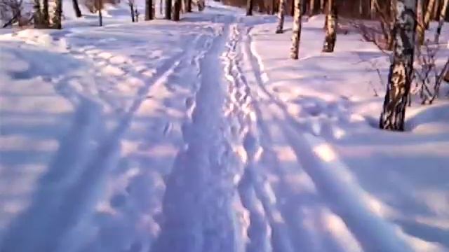 17 марта 2011 г. Продолжение (начало ролика - 11 марта). смотреть онлайн