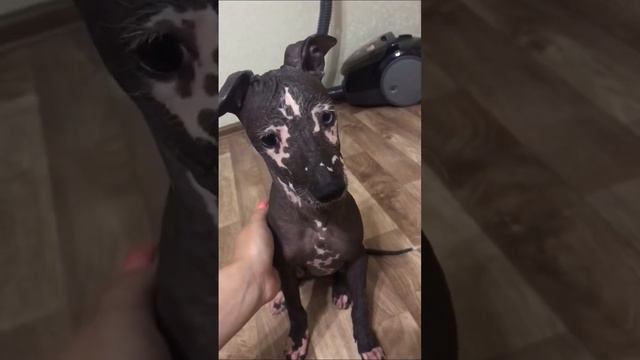 19 октября 2022 г. смотреть онлайн