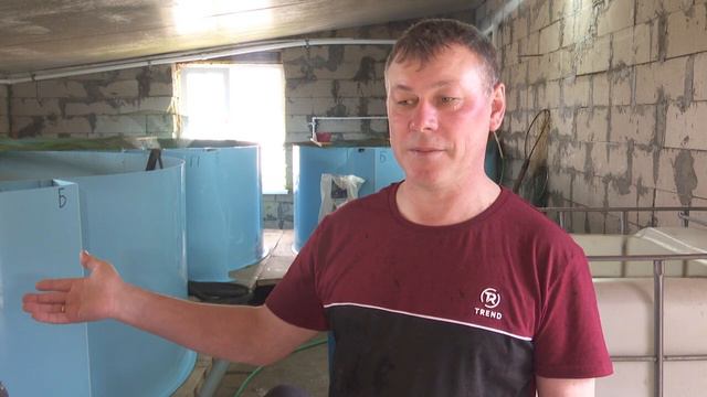 В субботу на ярмарку Иван Гаврилов выйдет со своими сомами смотреть онлайн