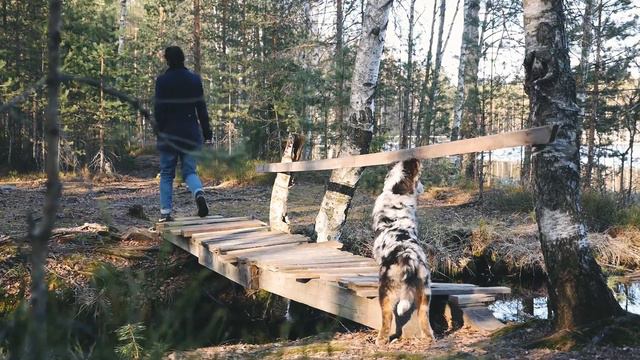 сёрклинг смотреть онлайн