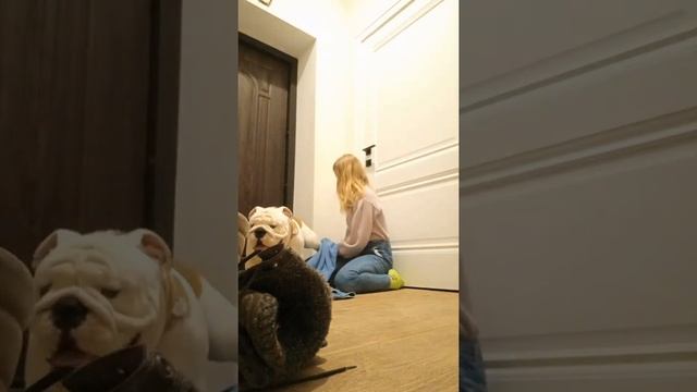 Как можно мыть лапы большой собаке зимой. смотреть онлайн