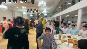 Туй Шайдон Барнаул  2021 (часть 1)