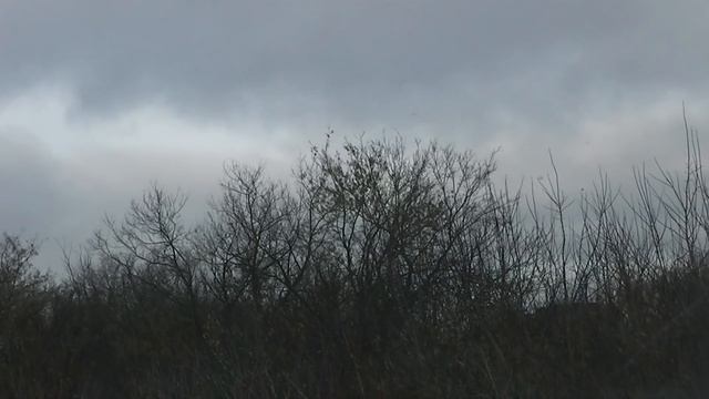 Russian hunting. Crow hunting. Охота на ворону, сороку. По заводам-огородам. смотреть онлайн