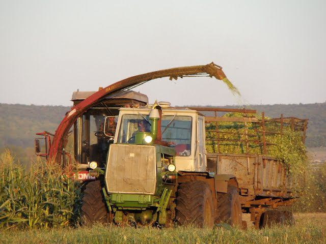 Polesie-280 and T-150K tractor, silage /// Полесье-280 и трактор Т-150К, заготовка силоса смотреть онлайн