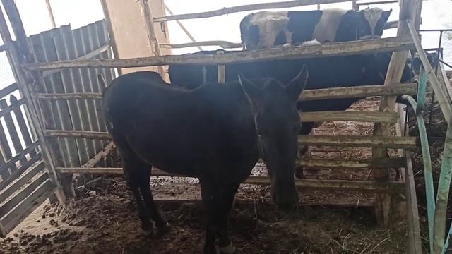 Дача Охота Отдых смотреть онлайн