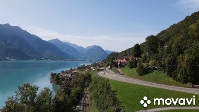 @Мопс By Alex Music? E_v_e_r_e_s_t? #Мопс