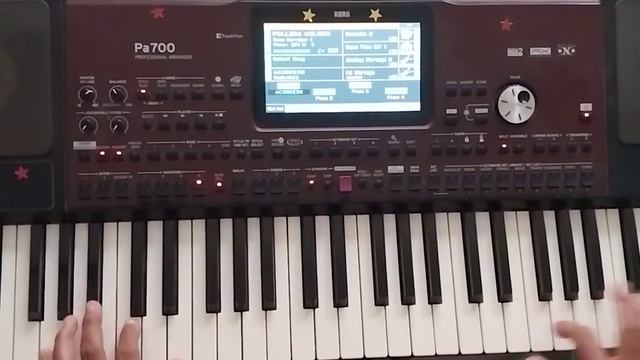 Pollera colora KORG pa 700/1000/4x смотреть онлайн