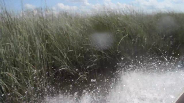 Часть 1 Gator Park Парк с крокодилами в Майами Сша смотреть онлайн