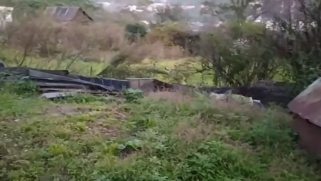 Зачем я туда пошла /// Ужасно боюсь пауков /// смотреть онлайн