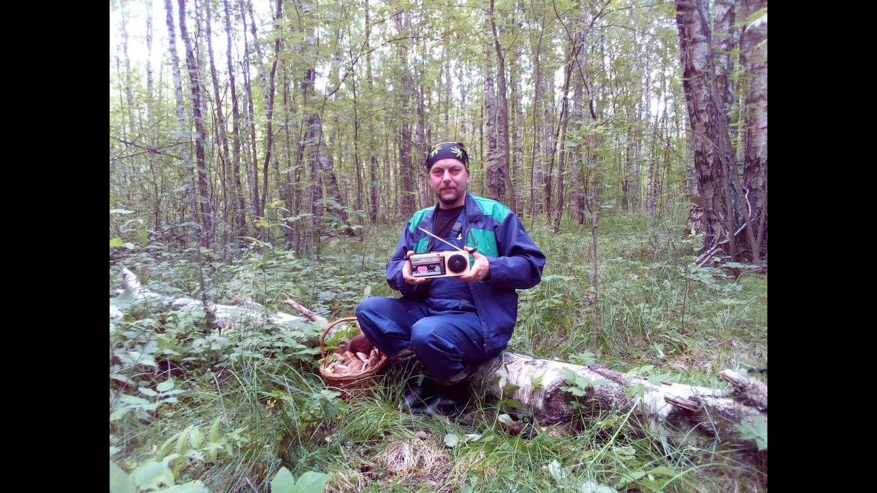 SHARP QT-10 Поход в лес с минимагнитолкой - часть 2 смотреть онлайн