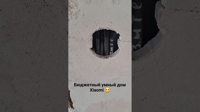бюджетный умный дом #умныйдом #ремонт #xiaomi