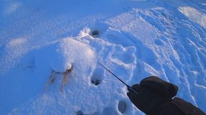 Такого КЛЁВА щуки в РУЧЬЕ на балансир я не ожидал! Ловля на микроречке со льда! Зимняя рыбалка 2022