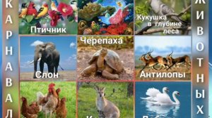 Музыкальная викторина "Карнавал животных"