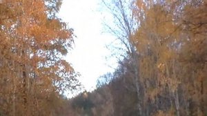 Не в теплые края а навсегда  (ВИА "Экипаж")