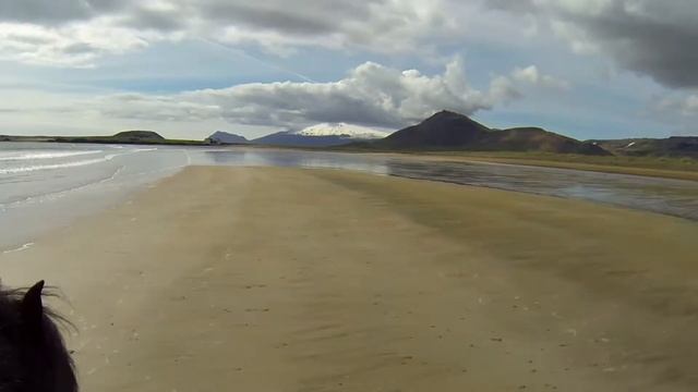 Riding Icelandic horses with a handheld GoPro Hero3 смотреть онлайн