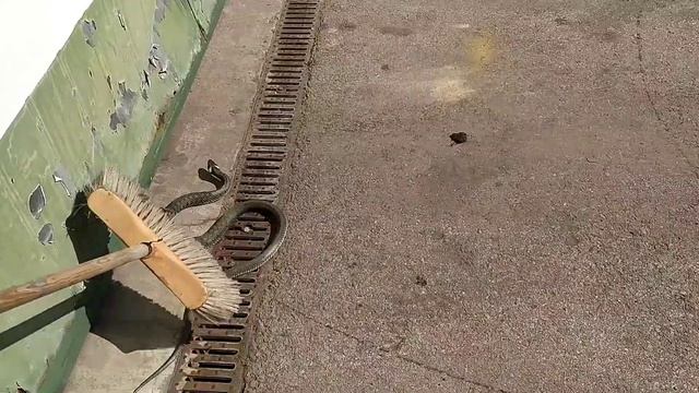 ? вужик у Островець-Свентокшиський смотреть онлайн