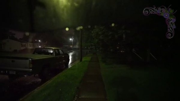 ✧✧✧VIDEOmusic✔The Old Dead Tree - Its the Same for Everyone, Tiamat - Amanitis