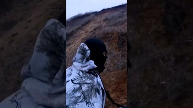 Тандем ВПО 205-00 парадокс смотреть онлайн