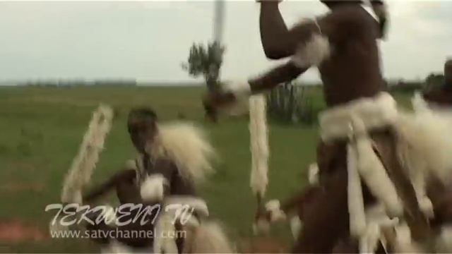 Rhythms of Tradition: Zulu Tribal Dance in South Africa ?? смотреть онлайн