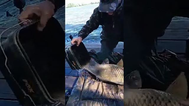 Клёвая рыбалка в Новой Казанковке 9 смотреть онлайн