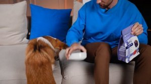 Полный обзор на ЛУЧШИЙ СУХОЙ КОРМ Jarvi для собак: мнение эксперта