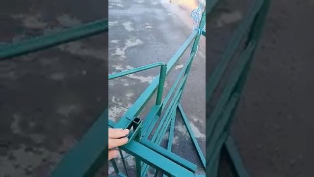 Система сортировки для овец и коз с двойным расколом и гильотиной. смотреть онлайн