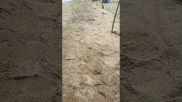 12 апреля 2023 г. смотреть онлайн