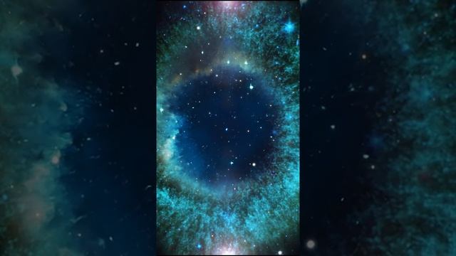 Медитация на концентрацию внимания смотреть онлайн