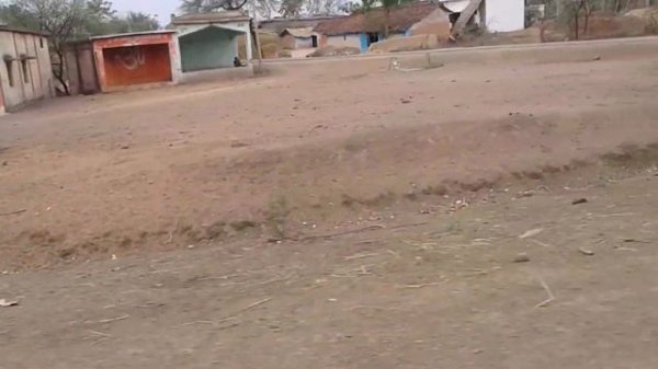 Village|vlog|My village Vlog|Summer Holidays|Vacation best destination|Road Trip|tricky shubham