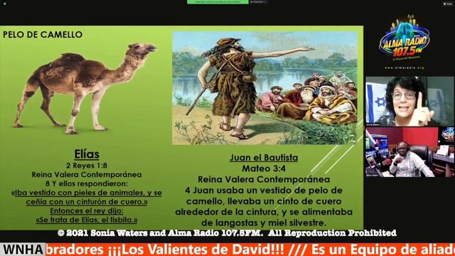 🔴 SONIA WATERS - ANTECDENTES HISTÓRICOS DE JUAN EL BAUTISTA #israel #profeciasbiblicas смотреть онлайн