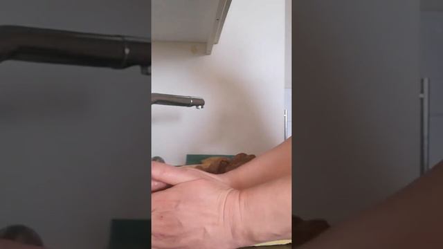 مقروت تمر سهل وبنين مثل المحلات😋👍makrout aux dattes faciles et rapides смотреть онлайн