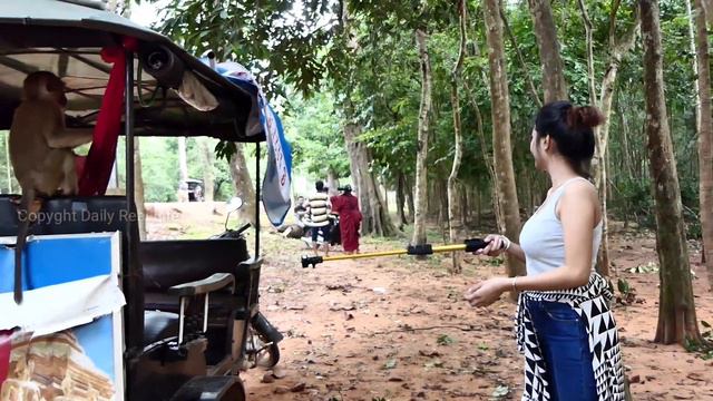 Wow!! Monkey meeting tourist & Smart girl feed lotus for baby monkey lovely смотреть онлайн