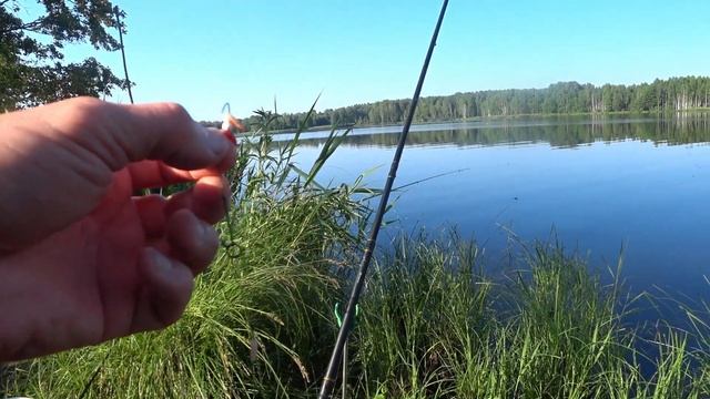 Рыбалка и две ночевки с друзьями на Десногорском водохранилище.Фидер , донка или флэт метод ? смотреть онлайн