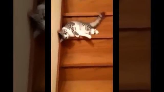 Это я иду на работу :-) смотреть онлайн